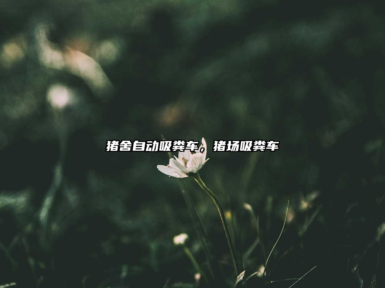 豬舍自動(dòng)吸糞車(chē)，豬場(chǎng)吸糞車(chē)